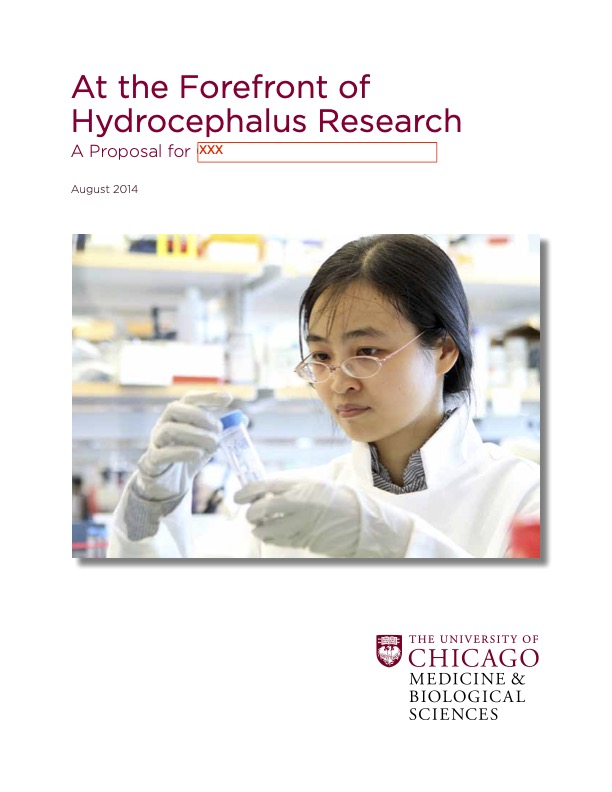 JPEG image of the cover for Hydrocephalus Research proposal for University of Chicago Medicine.